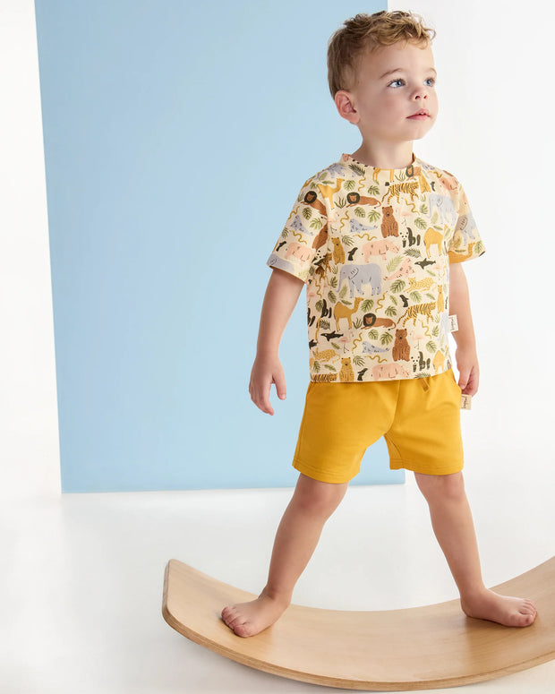 KAPOW - Animal Kingdom Shorts