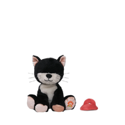 Binky Kitten Kit - Black & White