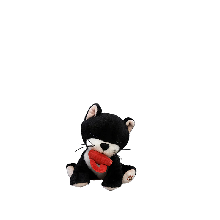 Binky Kitten Kit - Black & White