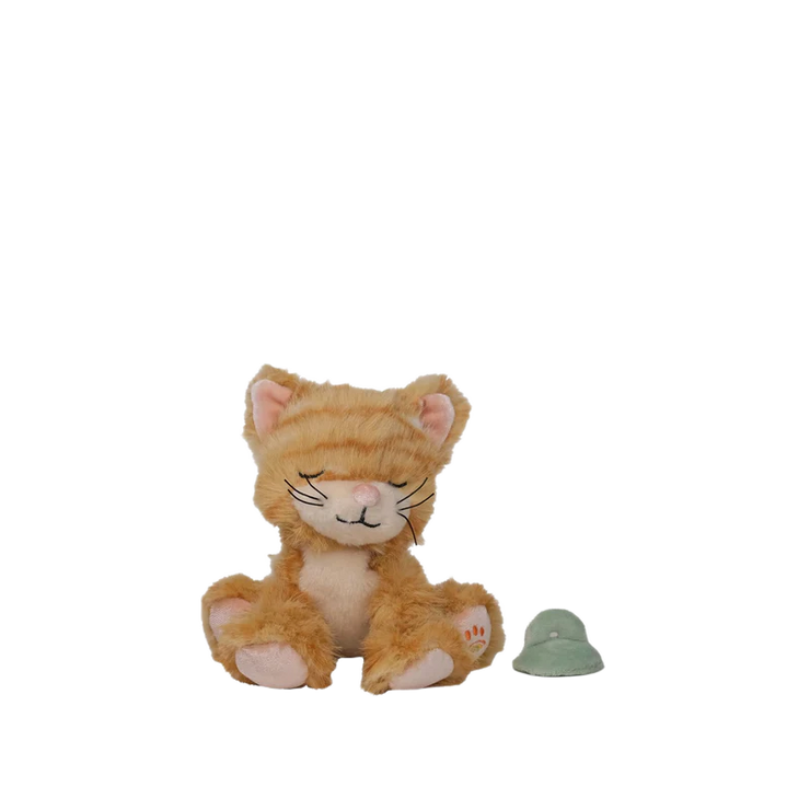 Binky Kitten Koda - Ginger