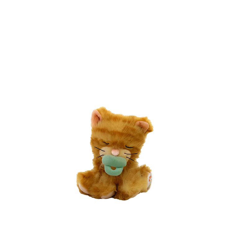 Binky Kitten Koda - Ginger