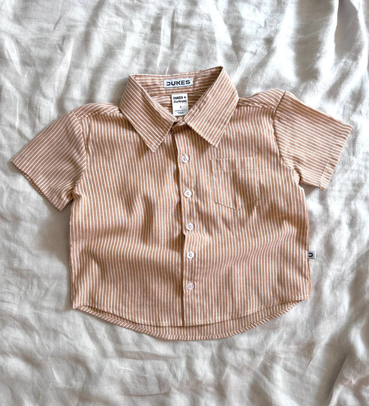 DUKES Mocha Stripe Dress Shirt