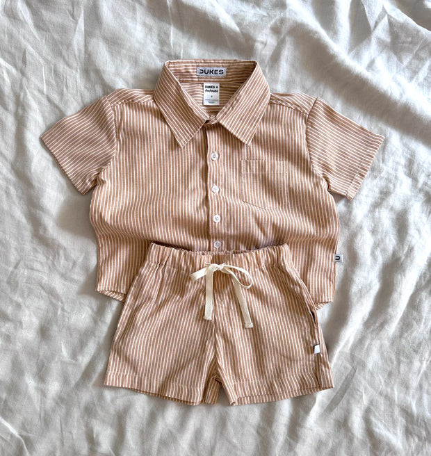 DUKES Mocha Stripe Dress Shirt