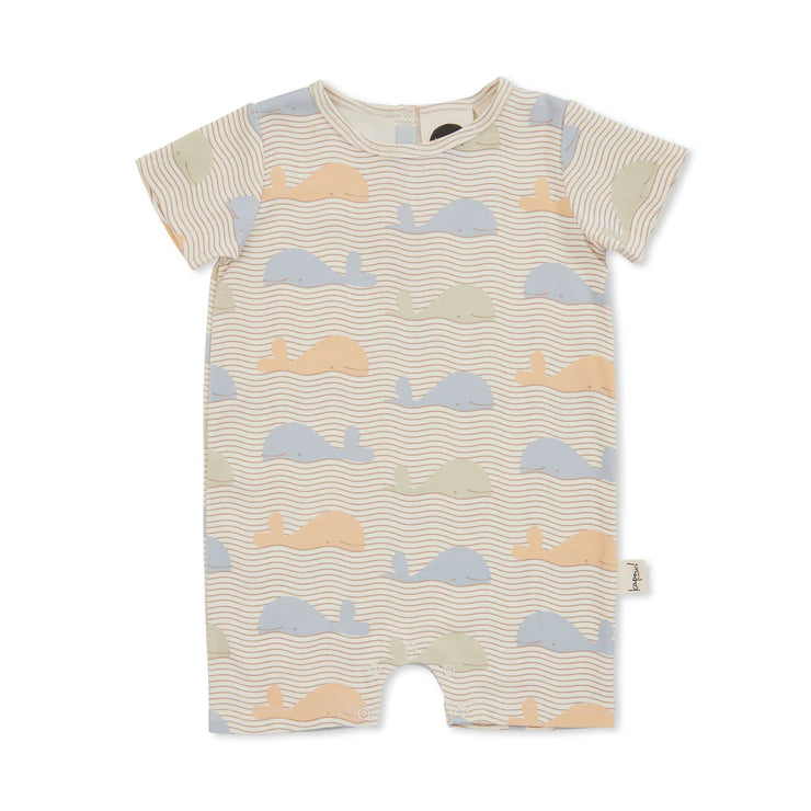 KAPOW - Save The Whales Shortall