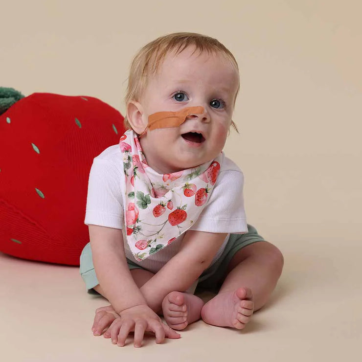 Dribble Bib - Strawberry