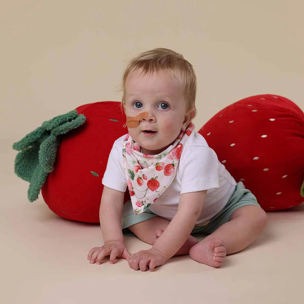 Dribble Bib - Strawberry
